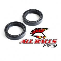 Fork Oil Seal Kit (pair) – All Balls Racing – Zero S / SR / DS / DSR / FX / FXS